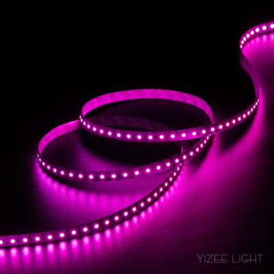 Cina 15M RGB LED Strip 48V RGBW LED Strip Lights Cancellare il colore luce del nastro in vendita