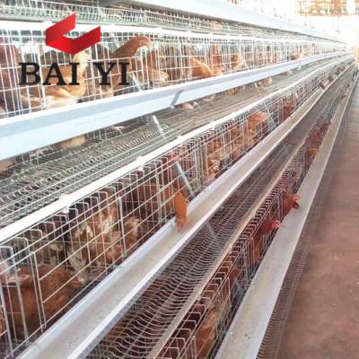 China Durable Use Cheap Price Layer Chicken Cage For Chicken Farm For Sri Lanka for sale