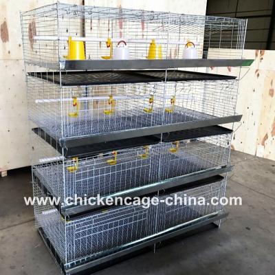 China Easily Install H Type One-Day Layer Chick Cages For Sale 45 Days Baby Chicken Cage Brooder for sale