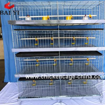 China Easily install chick cage, baby chick cage, 1day old chicks for sale for sale