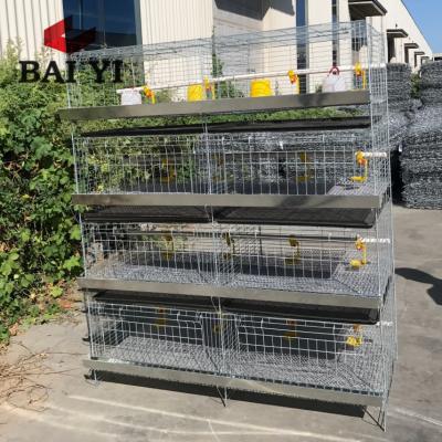 China Grow Large Discount Chick Layer Cage, Chick Breeding Cage, Baby Chick Cage Pictures for sale