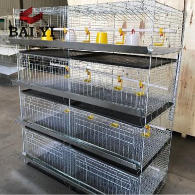 China Farms Mink Cages For Sale, Broiler Day Old Chicks, Galvanized Baby Chicks Cage for sale