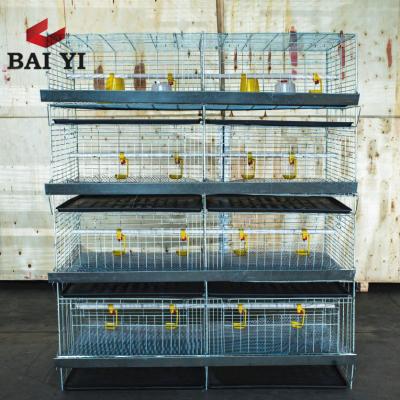 China Chicken Brooder Chicken Farm Baby Chick Brooder Cage /Day Raising Old Chicken Cage/Battery Pullet Raising Cage for sale