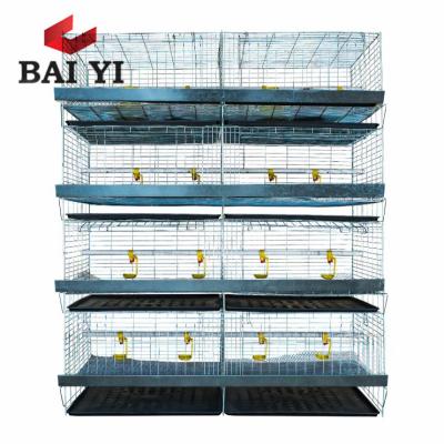 China Good Design Easily Clean Chick Brooder Cages For Sale for sale