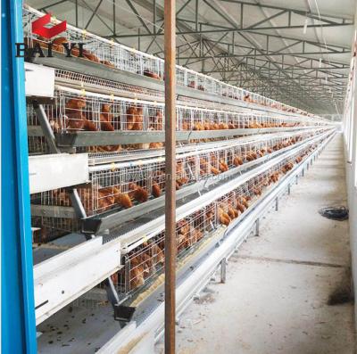 China Automatic Large Scale Poultry Farm 1.88m*2.3m*1.5m Design for sale