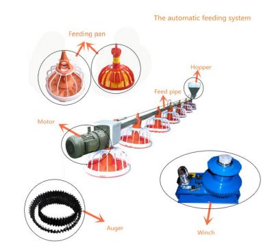 China 2018 Chicken Based New Products Chicken Feeding System Automatic Poultry Auger Feeder for sale