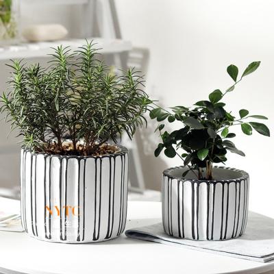 China Nordic pastoral style cement fleshy flower pots for living room flowerpot garden decor plant pot for sale