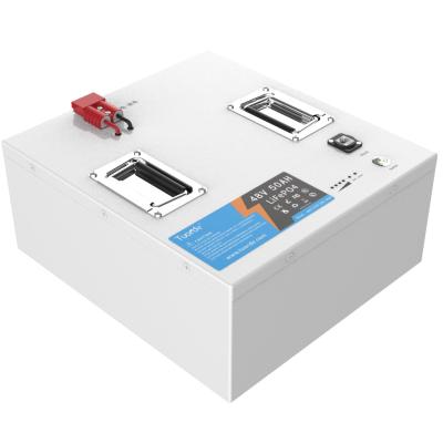 China 48V Lifepo4 Battery Pack , 50Ah Electric Forklift AGV Battery Pack for sale