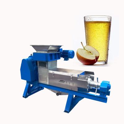 China Fruit Beverage Store 304 Stainless Steel Small Extrudor Orange Juicer Ginger Juice Making Machine for sale