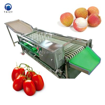 China High efficiency easy operate commercial passion fruit passion fruit processing avocado onion size grading sorter for sale