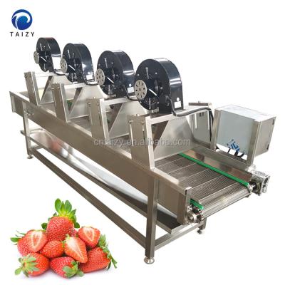 China High Efficiency Easy Operate Conveyor Type Vegetable Dryer After Washing Fruit Air Cooling Drying Machine for sale