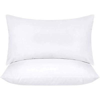 China Indoor Decorative Pillows 20 x 26 Inches Bedding Throw Pillows Insert Pack of 2 White for sale