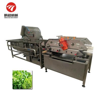 China Snack Plant Vortex Washing Machine For Fruits And Leafy Vegetables for sale