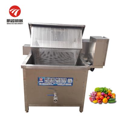 China Snack Factory Capsule Shaped Fruit And Vegetable Washing Machine for sale