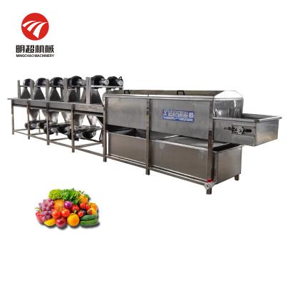 China Snack Factory Industrial Vegetable And Fruit Washing And Drying Machine for sale