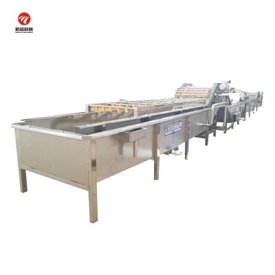 China Fruit Processing Plant Automatic Fruit Washing And Vegetable Machine Bubble Washing Machine And Fruit for sale