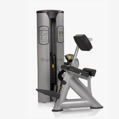 China Sports Gym Equipment Universal Back Extension Gym Fitness Equipment For Indoor Exercise for sale