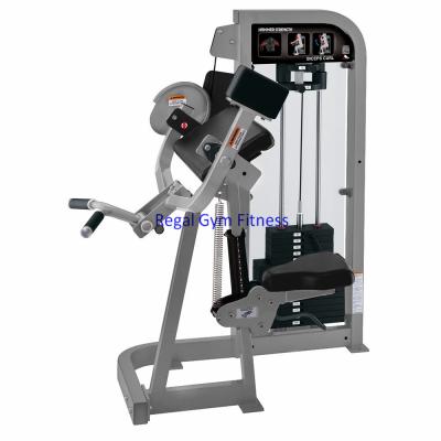 China Commercial Pin Loaded Gym Equipment Biceps Buckle Commercial Use Fitness Equipment for sale