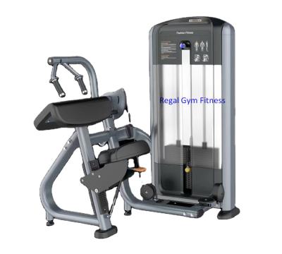 China New Fitness Machine Steel Force Tube Style Triceps Press Gym Exercise Equipment for sale