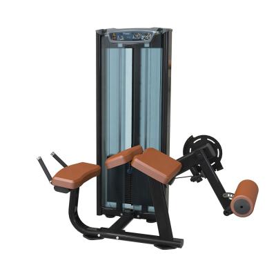 China Commercial Gym Machine China Use Prone Leg Curl Sports Fitness Equipment for sale