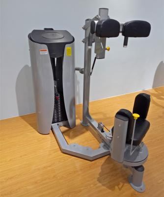 China High Quality Commercial Fitness Equipment Rotating Torso Cheap Use Gym Equipment for sale