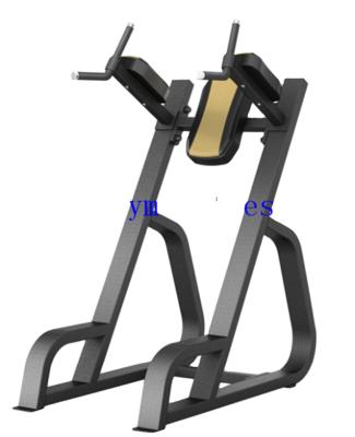 China High Quality Commercial Gym Equipment Kness Vertical Up/Dip RP for sale