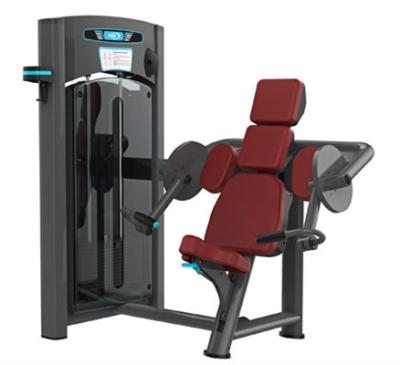 China Commercial Use Biceps Curl Machine Strength Training Sports Fitness Equipment for sale