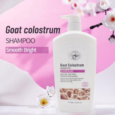 China Loss Prevention Private Label Goat's Milk Protein Camel Natural Organic Smooth Bright Shampoo for sale