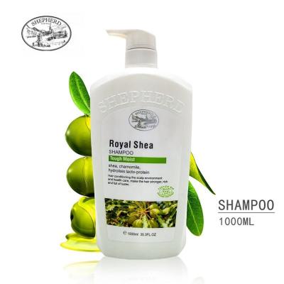 China Moisturizing OEM Private Label Avocado Moisture Natural Shea Butter Sulfate Free Hair Shampoo for sale