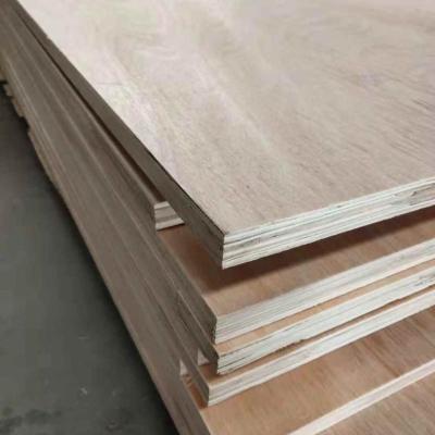 China Poplar / LVL Modern Wood Material Plywood for sale