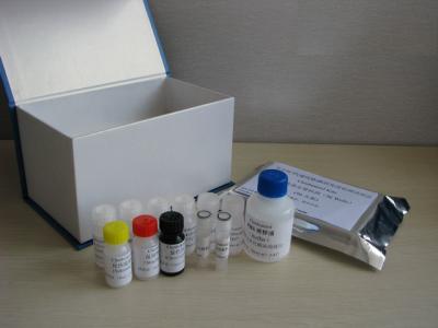 China Melamine ELISA Kit for sale