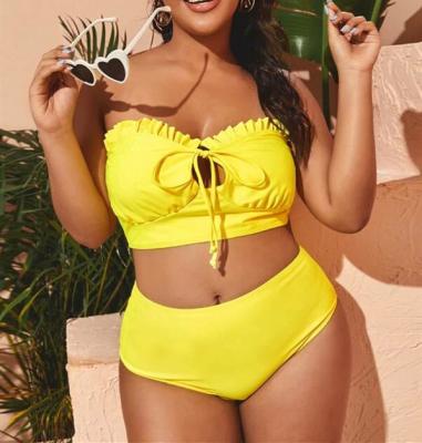 China 2022 plus size women's eco-friendly fabric bikini two pieces plus size cover up women swimwear for beach lovers for sale