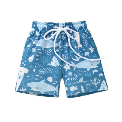 China Designer Plus Size Custom Color Men Shorts Swimming Trunks Beach Wear for sale