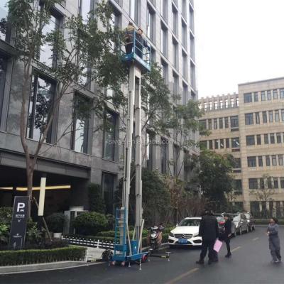 China Double mast aerial work platform (two person platform, platform lift) GTWY8-2008 for sale