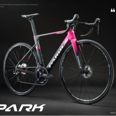 China Sport Bike High Performance Road Racing Bike, High Performance Carbon Fiber Road Racing Bike Spark Disc for sale