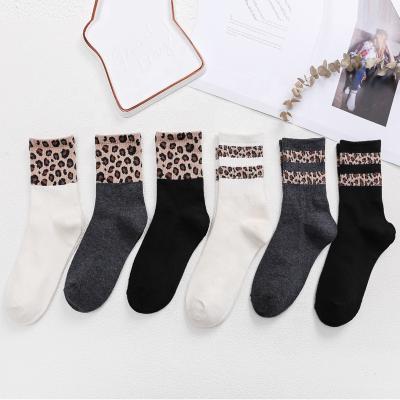 China Ladies Antibacterial Wholesale Cotton Socks Leopard Four Seasons Casual Short Socks for sale