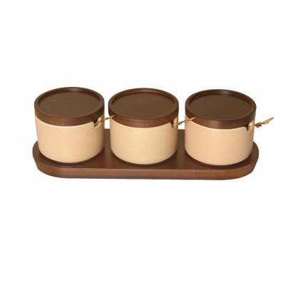 China Nordic Luxury Home Kitchen 3pcs Salt Spice Jar Stocked Ceramic Jar Sugar Pepper Seasoning Box Set with Spoons and Tray for sale