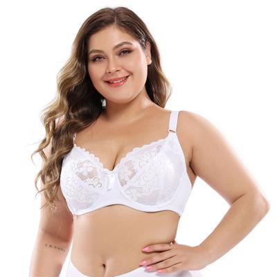 China Breathable Daily Use Women's Big Bra Plus Size Bra Sexy Bra for sale