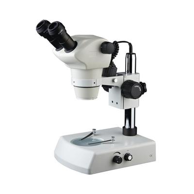 China Binocular Microscope 8X-50X Binocular Stereo Microscope SM-ST8050-B2 for sale