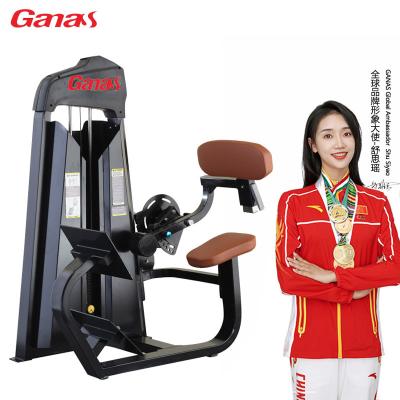 China Ganas Hot Sale Back Strength Training Fitness Equipment Back Extension Machine Eco-friendly Gym for sale