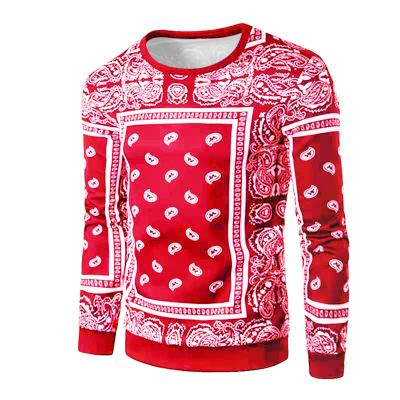 China New 2021 Amazon spring and autumn men's round neck QUICK-DRY sweaters European and American high-street cashew flower 3D printing long-sleeve for sale