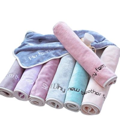 China Custom Embroidered QUICK DRY Luxurious Custom Embroidered Logo Plain Micro Suede Micro Fiber Sports Gym Travel Quick Dry Towel With Pocket for sale