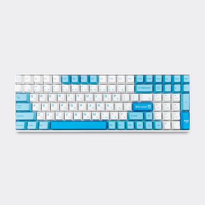 China ABS+Metal GM898 factory direct sales RGB BLUETH radio 100 key gaming ergonomic backlit cable mechanical keyboard for sale