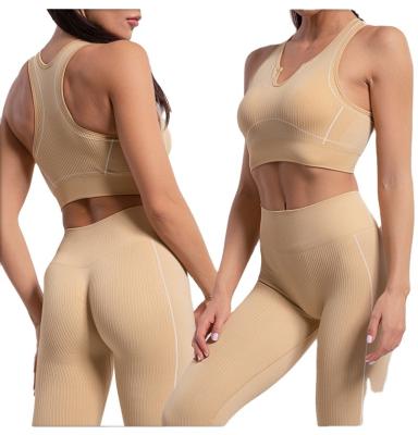 China Hot Sale Sports Tights Fitness Gym Yoga Seamless Leggings Breathable For Women for sale