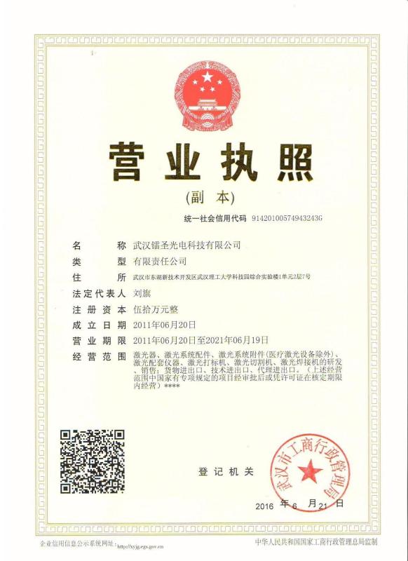 The business license - Wuhan LS Photoelectric Technology Co., Ltd.