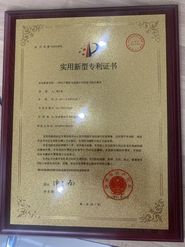 Letters Patent - Jiangsu Acemien Machinery Co., Ltd.