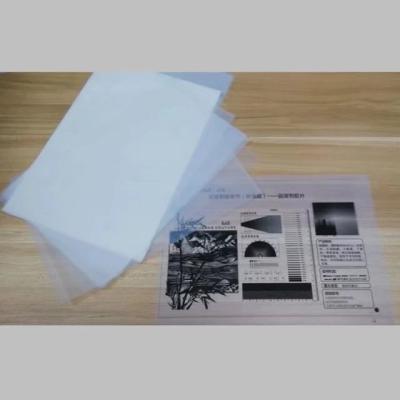 China Screen Printing Industry Screen Printing Plate Film for sale