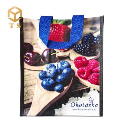 China Custom printable reusable wholesale eco handled promotional non woven shopping bag non woven shopping bag with logo for sale