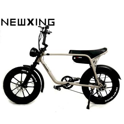 China Alloy Warehouse 750W Motor eBike 17Ah Lithium Battery Family Cargo Bike NEWXING NK20 High Speed ​​Tire Aluminum Ebike for sale