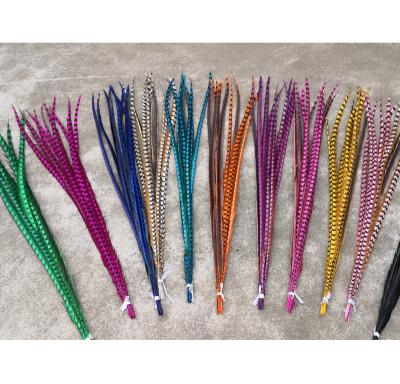 China Pheasant Feather 24-28 inch (60-70 cm) Magistrates Pheasant Feather Tails for Carnival Costumes for sale